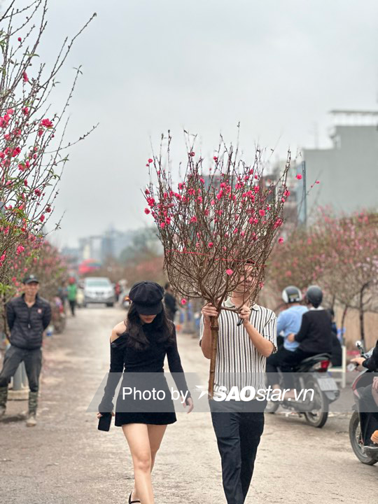 Quảng An - Chợ hoa lớn nhất Hà Nội tấp cập khách đến mua đào, quất về trưng Tết