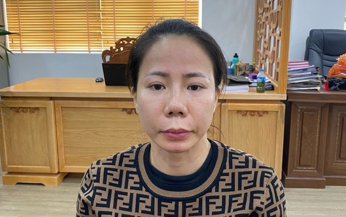 Thấy đồng nghiệp cũ gặp nạn, người phụ nữ lừa gần 7 tỷ đồng Ảnh 2