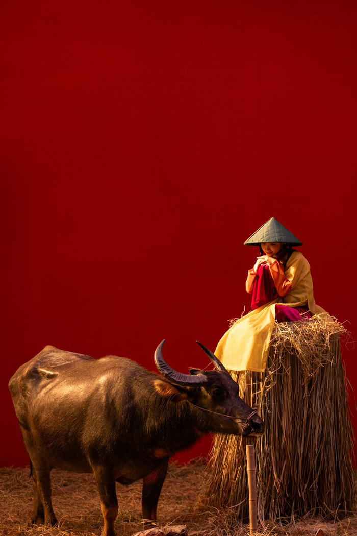 Hòa Minzy tiết lộ suýt bị trâu húc khi quay MV Ảnh 2