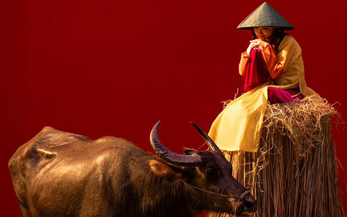 Hòa Minzy tiết lộ suýt bị trâu húc khi quay MV Ảnh 2