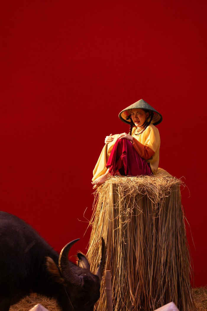 Hòa Minzy tiết lộ suýt bị trâu húc khi quay MV Ảnh 4