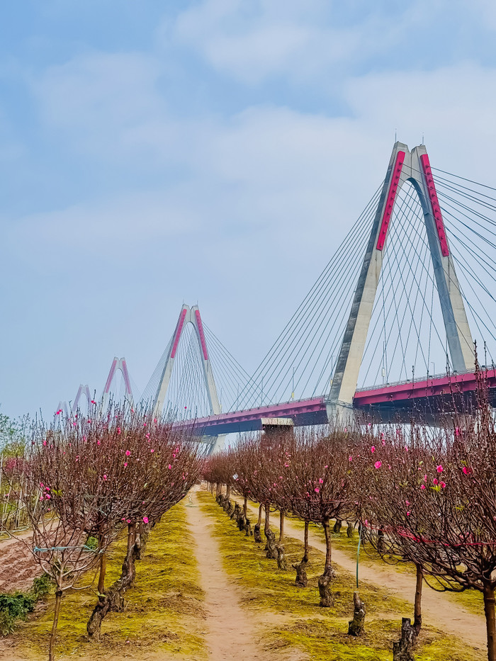 Nhiều khung cảnh đẹp mê li cho các bạn trẻ đến check-in sống ảo. (Ảnh: Sơn Tùng) 