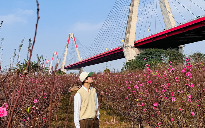 Mê mẩn vườn đào Nhật Tân bung nở sắc hồng ngày cận Tết Ảnh 2