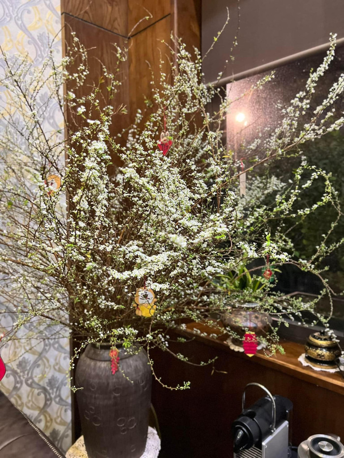 Hoa tuyết mai nở trắng ngày Tết. Ảnh: Thanh Nhài Vũ