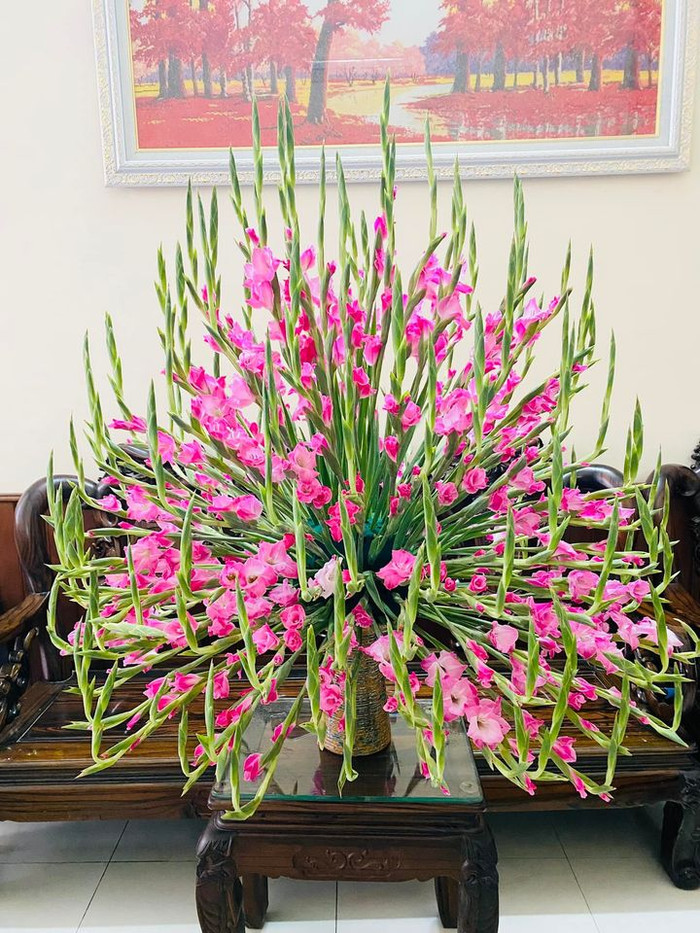 Hoa lay ơn được nhiều chị em ưa chuộng cắm trong dịp Tết này. Ảnh: Phạm Chuyên