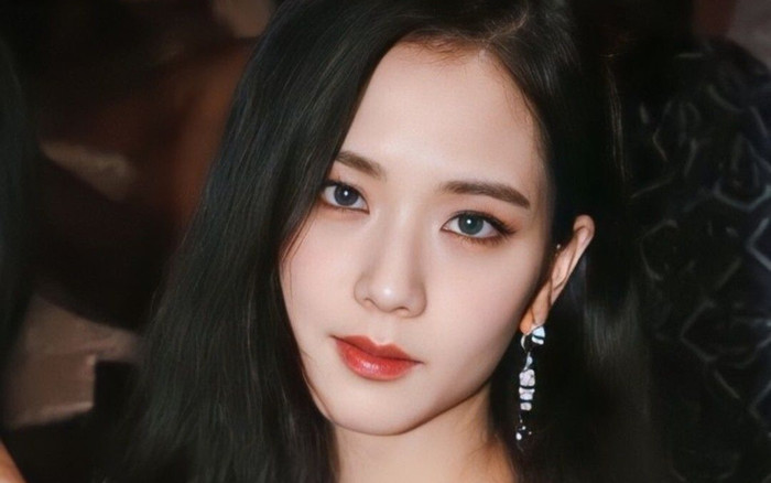 Fan Việt cảm động khi Jisoo quyên góp tiền cho dự án rừng ngập mặn ở Cà Mau Ảnh 2