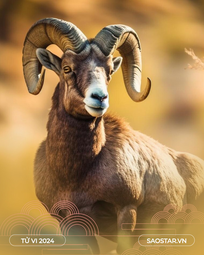 Tuần mới (18-24/3) đầy biến động: 3 con giáp vận đỏ như son, 1 tuổi đối mặt với thử thách Ảnh 1