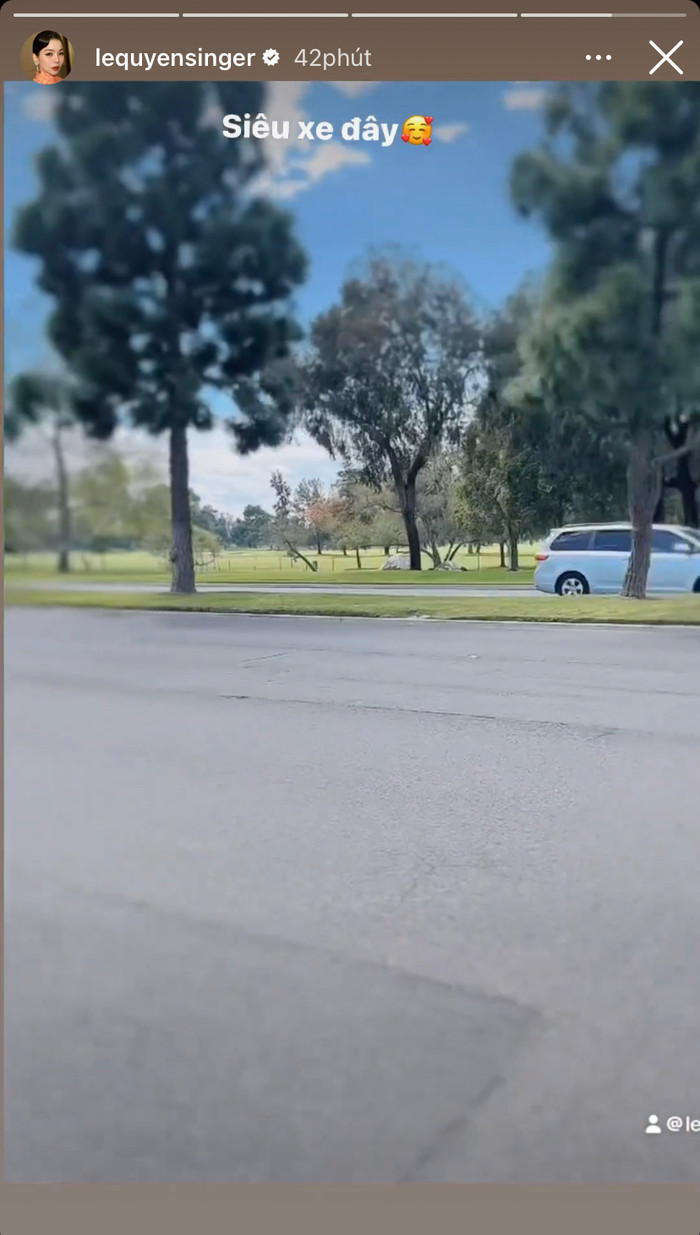 Khung cảnh ngập tràn cây xanh, thoáng đãng nơi Lệ Quyên sinh sống ở nước Mỹ. Ảnh: Instagram lequyensinger