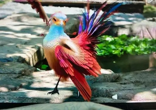 Hình ảnh không thể 'giả trân' hơn trong Dữ Phượng Hành, dù mang tiếng đây là bộ phim được đầu tư trọng điểm. 