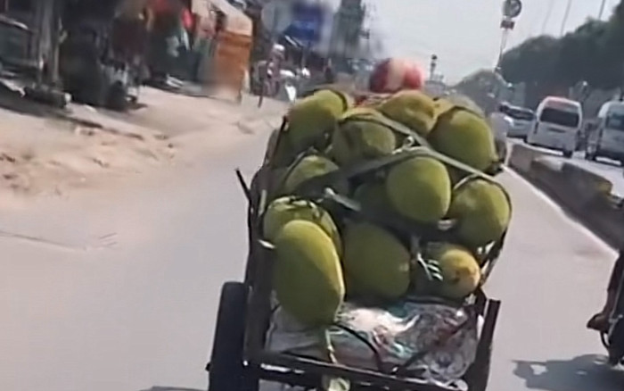 Thấy quả mít sắp rơi, cô gái chạy theo 30 phút để nhặt nhưng cái kết vô cùng 'đắng' Ảnh 2