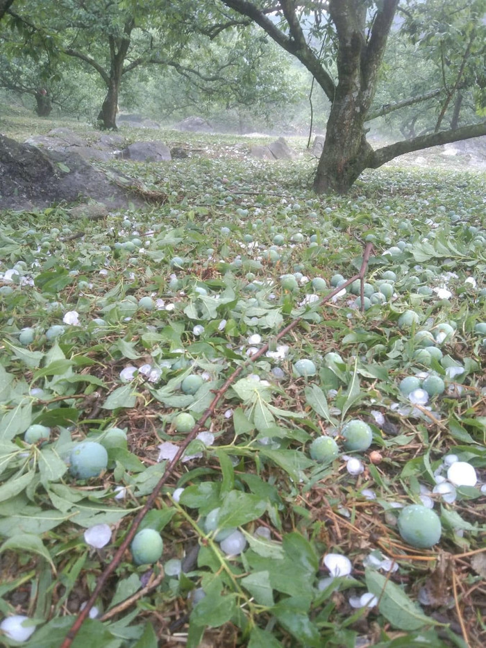 Ảnh: Hàng Của Phakhen