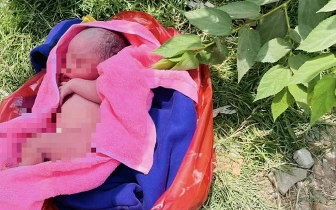 Tưởng tiếng mèo kêu phát ra từ khoảng đất trống, người giao hàng đến kiểm tra liền ngỡ ngàng Ảnh 2