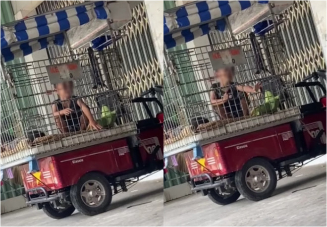 Bé trai bị nhốt vào lồng sắt.