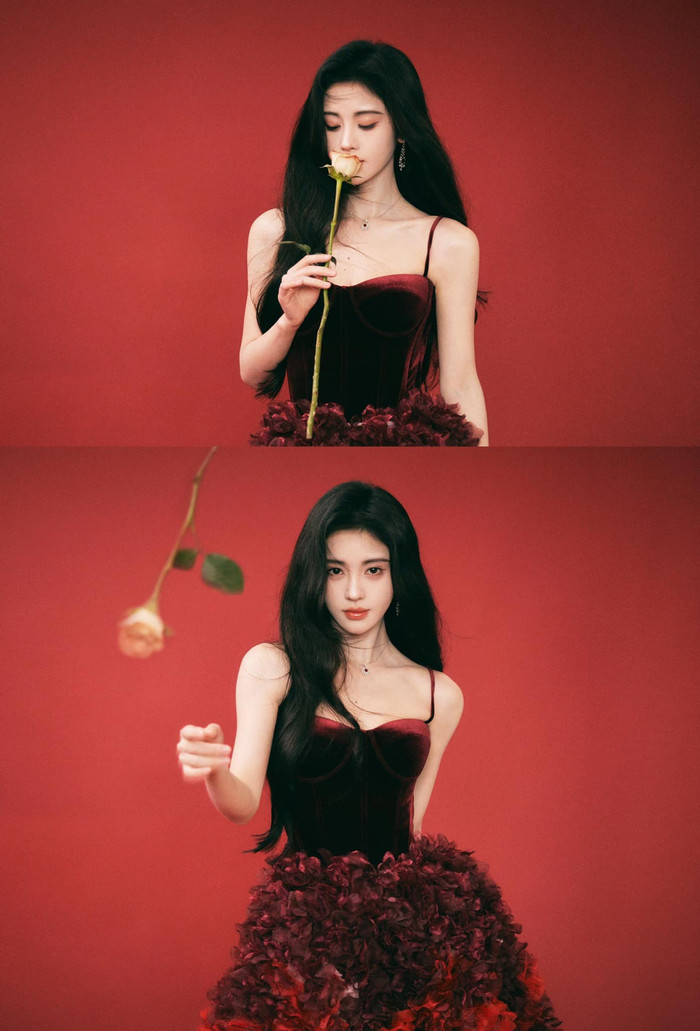 Những tựa phim có sự góp mặt của Cúc Tịnh Y có thể kể đến như: Vân Tịch Truyện, Tân Bạch Nương Tử Truyền Kỳ, Hoa Nhung, Tiên Kiếm Kỳ Hiệp 4, Như Ý Phương Phi, Hoa Gian Lệnh,...