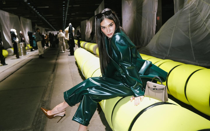 Hoa hậu Hoàn vũ nổi nhất thế giới đỉnh cỡ nào ở Paris Fashion Week? Ảnh 2