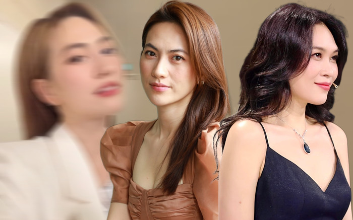 Bắt trend TikTok, Phương Anh Đào gây xôn xao vì nhan sắc giống Mỹ Tâm Ảnh 2