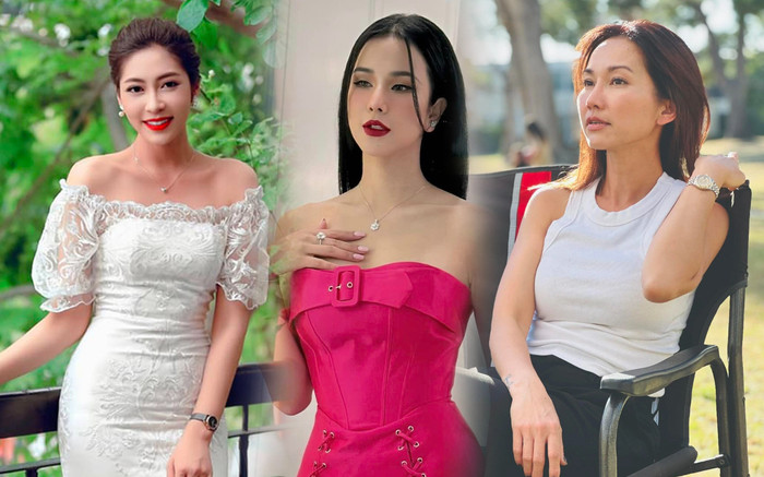 Minh Trang, Diệp Lâm Anh và loạt sao Việt tố chồng ngoại tình Ảnh 2