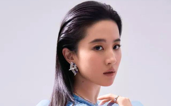 Em trai Lưu Diệc Phi bất ngờ lộ diện, danh tính thế nào mà đến Dương Tử cũng yêu? Ảnh 2