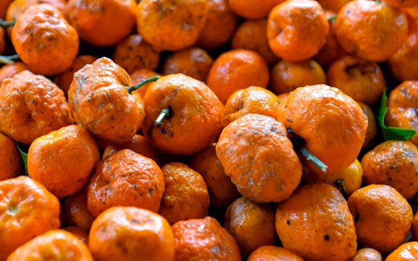 Loại quả chỉ có ở Thanh Hoá, xưa đầy người biết, giờ thành đặc sản tốt cho sức khoẻ với 40.000 đồng/kg Ảnh 2