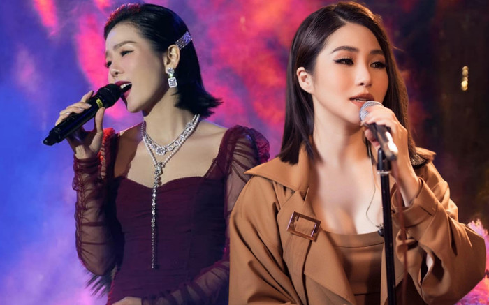 Lệ Quyên mang hit Hương Tràm sang nước ngoài biểu diễn, dân mạng nhận xét ra sao? Ảnh 2