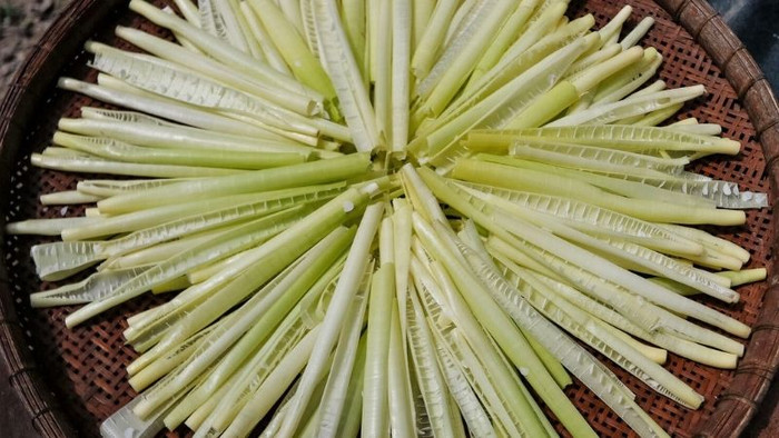 Một số người dân ở Sóc Trăng, Bạc Liêu còn trồng năn bộp với diện tích lớn, thu hoạch quanh năm và bán khắp mọi miền đất nước