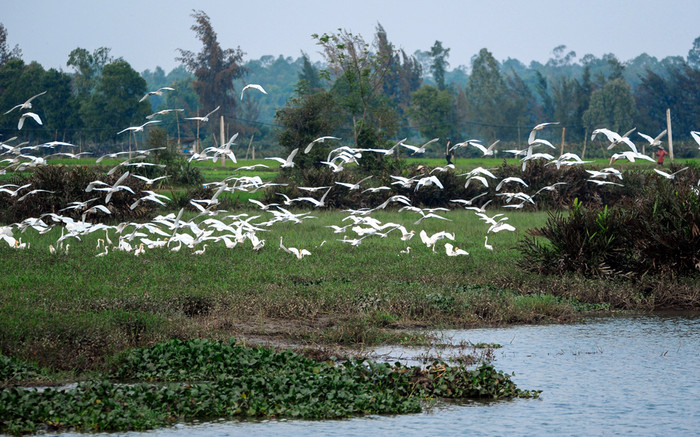Người phụ nữ Kiên Giang 