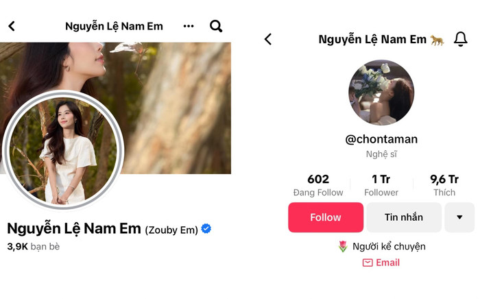 Nam Em mở lại hai tài khoản mạng xã hội Ảnh 2