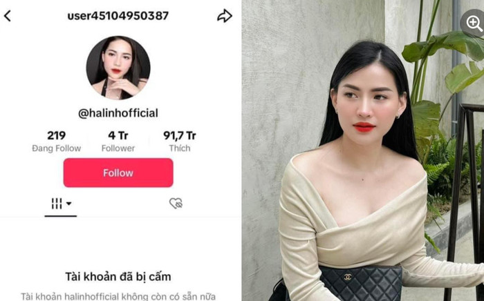 Chiến thần Võ Hà Linh chính thức 'bay màu' kênh Tiktok 4 triệu followers Ảnh 2