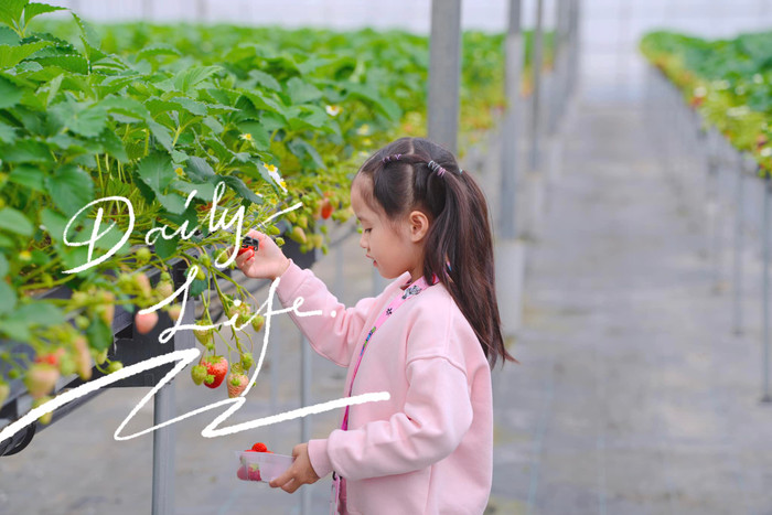 Ái nữ đầu lòng nhà Đặng Thu Thảo sở hữu làn da trắng mịn, cùng góc nghiêng có nhiều điểm tương đồng với mẹ. Ảnh: FBNV