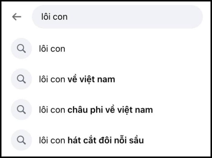 Sức hút bé Lôi Con khi hát tiếng Việt ầm ầm, được fan đón không thua gì sao hạng A Ảnh 3