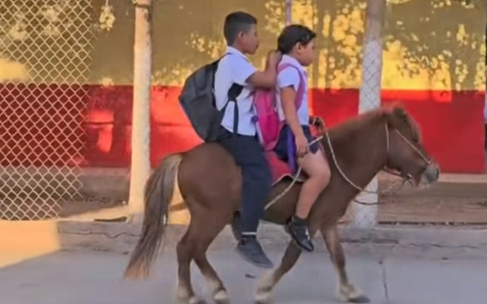 Ngơ ngác trước phương tiện đến trường của 2 em học sinh Ảnh 2