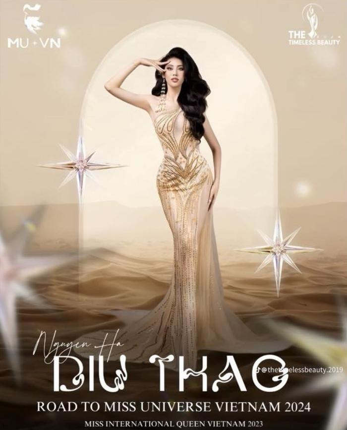 Chưa hết nhiệm kỳ, Dịu Thảo vẫn ấp ủ dự định chinh phục Miss Universe Vietnam 2024? Ảnh 1