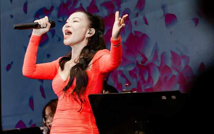 Đăng clip biểu diễn, Thu Minh lên tiếng khuyến cáo người xem Ảnh 2