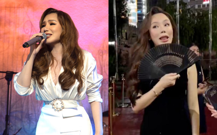 Hồ Quỳnh Hương thừa nhận tàn tạ vì kem trộn, muốn đeo mặt nạ khi ra đường Ảnh 2