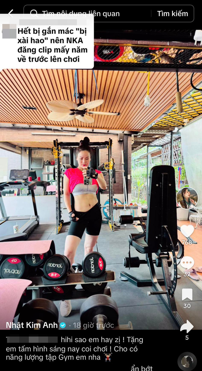 Nhật Kim Anh đáp trả một bình luận mỉa mai từ cư dân mạng.