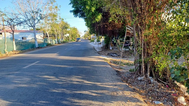 Tuyến đường dẫn vào nhà nơi ông T. đang sinh sống. Ảnh: Người Lao Động