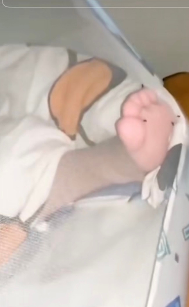 Những con muỗi này không hề biết trước tương lai của chúng.