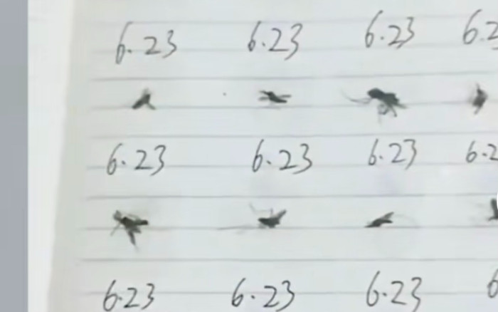 Người mẹ lưu từng con muỗi đốt con mình vào sổ tay khiến dân mạng thích thú Ảnh 2