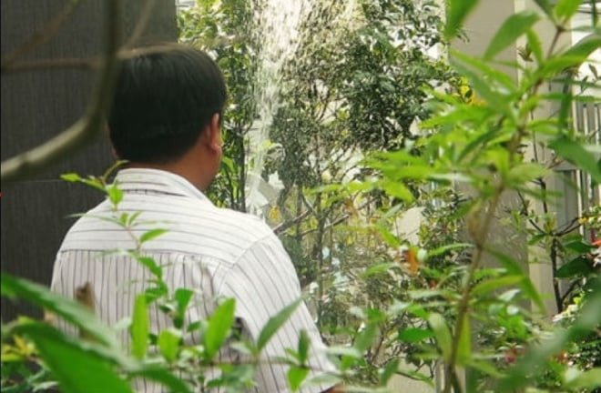 Anh D chia sẻ sở dĩ bản thân ám ảnh khi nhận tiền tỷ bởi mặt nạ chỉ che được phần mắt khiến những ai từng gặp qua anh đều nhận ra