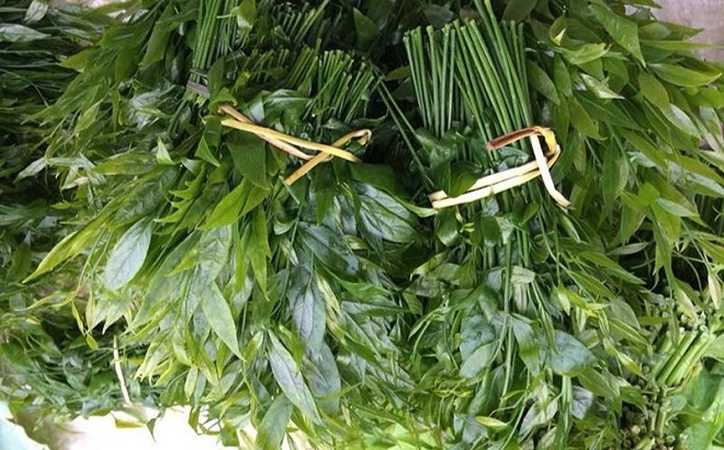 Loại rau đắt ngang thịt bò, hàm lượng dinh dưỡng cao, còn là vị thuốc tốt Ảnh 2