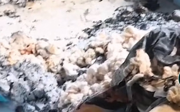 Dùng máy sấy tóc không rút phích cắm, nhà cô gái bỗng dưng bốc cháy và bài học nhớ đời Ảnh 2