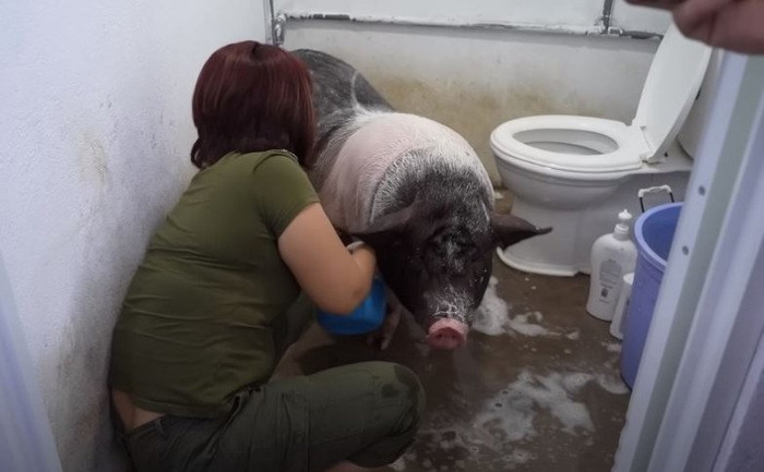 Người phụ nữ tận tình chăm sóc thú cưng