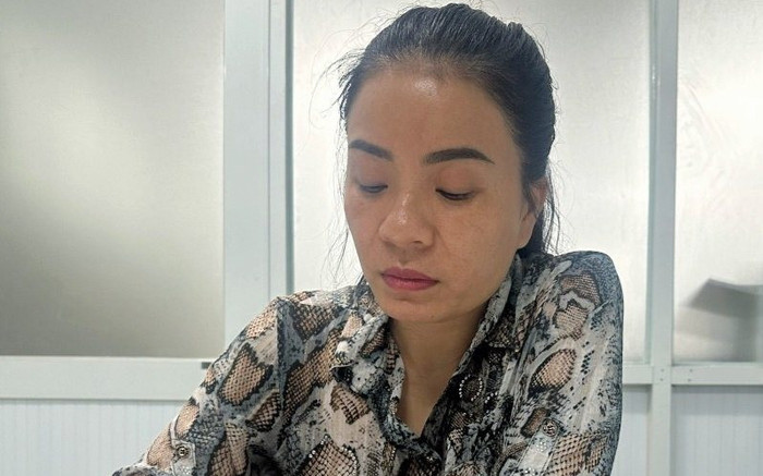 Người phụ nữ Nam Định dụ dỗ đầu tư kinh doanh lừa đảo 268 tỉ đồng Ảnh 2