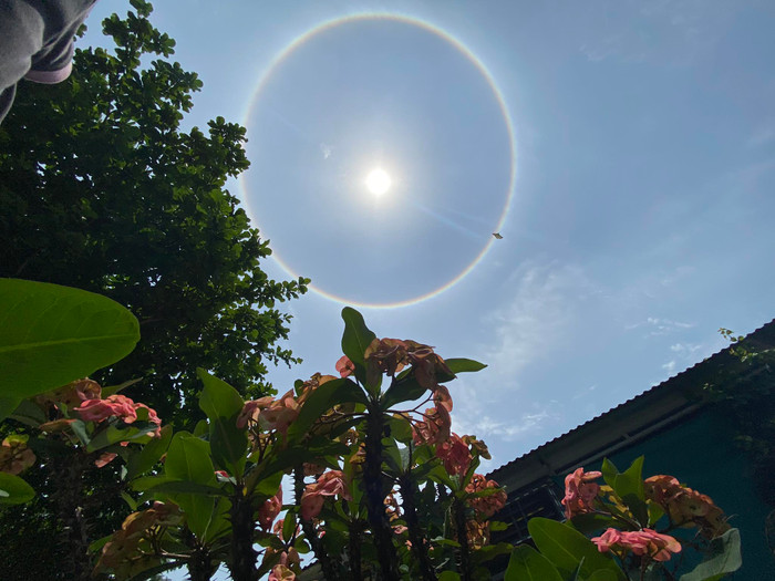 Đây là hiện tượng thiên nhiên hiếm khi xảy ra. 