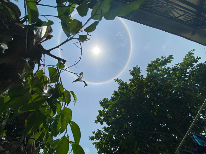 Mặt trời xuất hiện với diện mạo rất đẹp. 