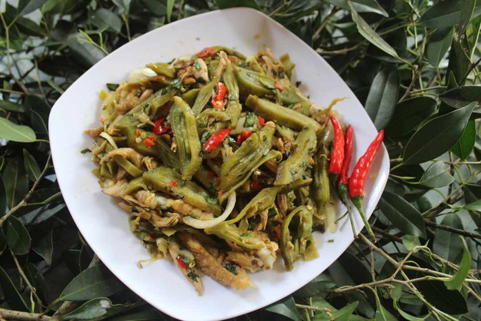 Theo y học, quả núc nác có nhiều đặc tính trị bệnh.