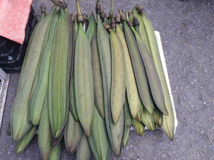 Hiện nay quả được bán lên đến 70.000 đồng/ký.