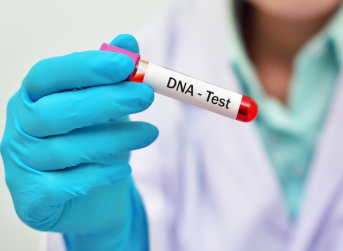 Xét nghiệm ADN đưa ra nhiều kết quả bất ngờ.