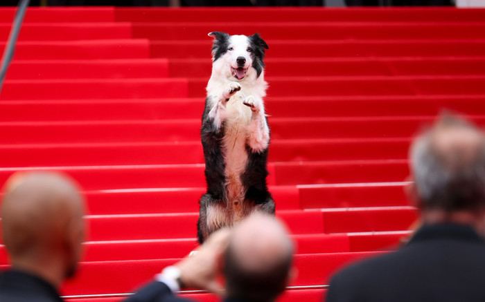 Messi xuất hiện tại thảm đỏ Liên hoan phim Cannes, chiếm trọn spotlight vì quá đáng yêu Ảnh 2