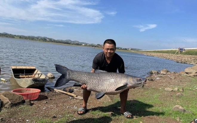 Cần thủ phấn khích câu được cá 'khủng' hơn 36kg tại hồ đẹp nhất Buôn Ma Thuột Ảnh 2